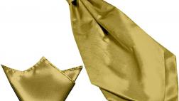 Miglior ascot plastron