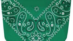 Miglior bandana verde