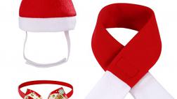Miglior cappelli di natale per gatti