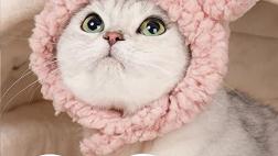 Miglior cappello cane