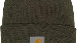 Miglior cappello carhartt celeste