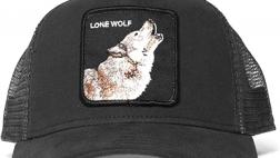 Miglior cappello visiera animali