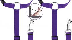 Miglior cintura hermes collier de chien