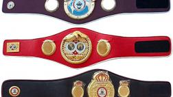 Miglior cintura wbc