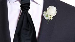 Miglior cravatta a plastron