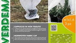 Miglior ombrelli per piante