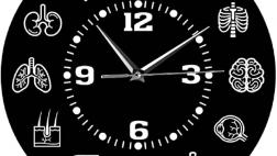 Miglior orologio biologico degli organi