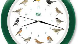 Miglior orologio natura