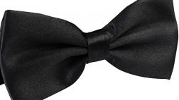 Miglior papillon cravatta