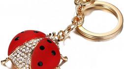Miglior portachiavi ladybug