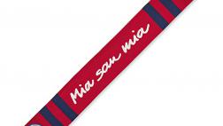 Miglior sciarpa da tifoso