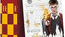 Miglior astuccio di harry potter