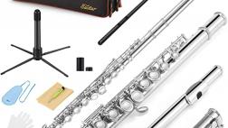 Miglior astuccio per flauto traverso