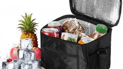 Miglior borsa frigo professionale