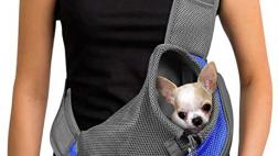 Miglior borsa porta cane