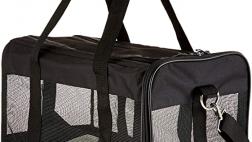 Miglior borsa trasportino gatto