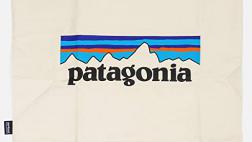 Miglior patagonia tote bag