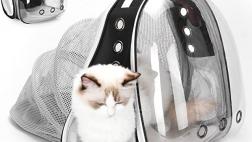 Miglior zainetto gatto