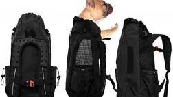 Miglior zaino per cani arcaplanet
